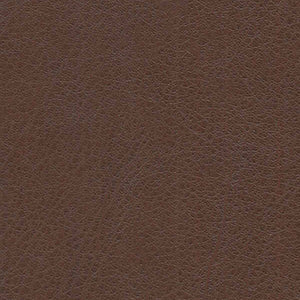 Brown Leather Swatch