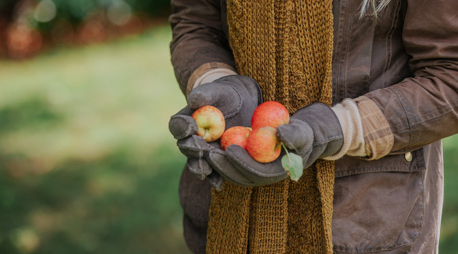 Sheepskin Gloves for Poor Circulation and Everyday Dexterity