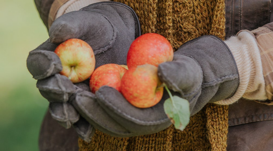 Which Wool Gloves Are Warmest? Knitted Wool, Wool-Lined Leather and Sheepskin Compared