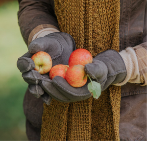 Ladies' Genuine Sheepskin Gloves | Hand-Stitched, Exclusive Colour.